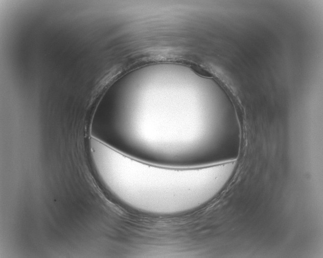 X0000063460105200601231429