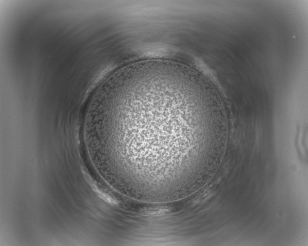 X0000063460106200601231429