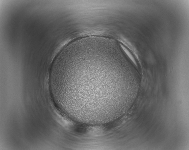 X0000063460107200601231428