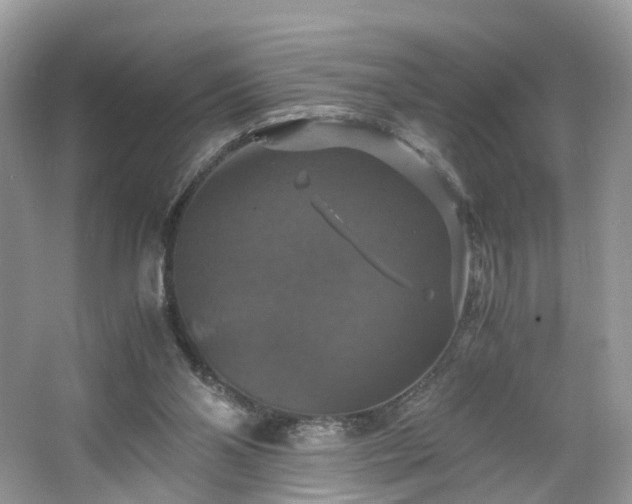 X0000063460110200601231428