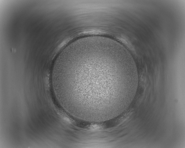 X0000063460111200601231428