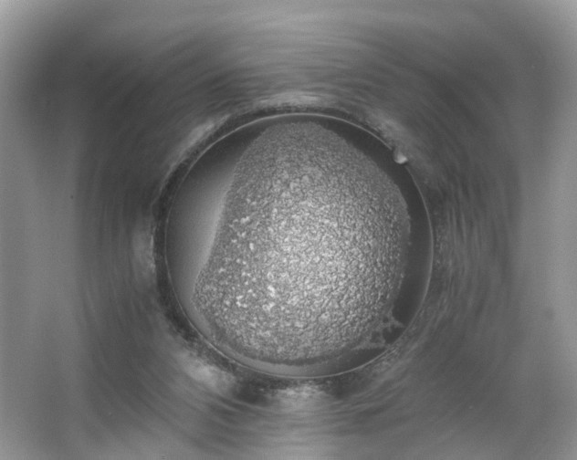 X0000063460112200601231428