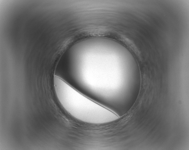 X0000063460113200601231428