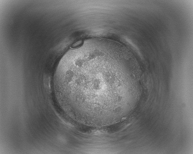 X0000063460115200601231428