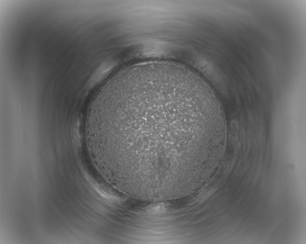 X0000063460116200601231428