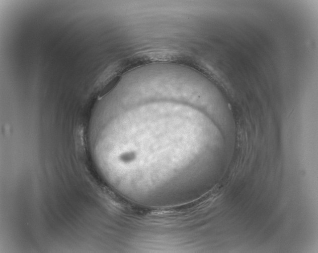 X0000063460117200601231428