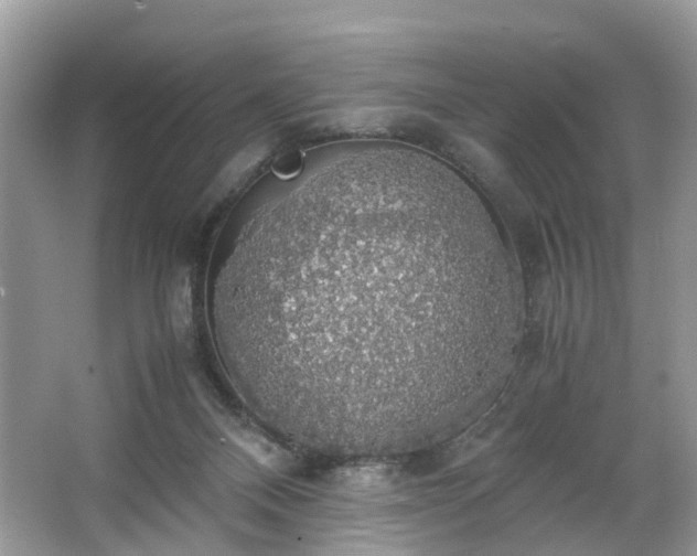 X0000063460120200601231428