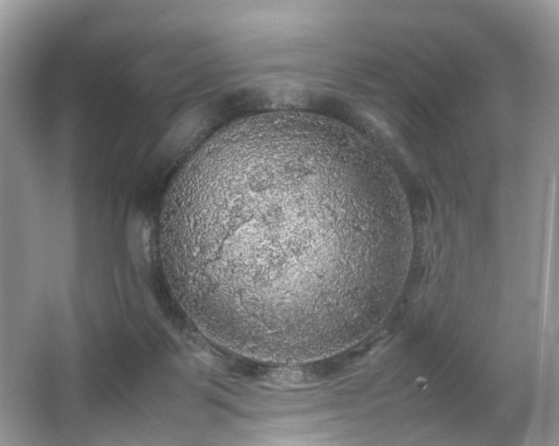 X0000063460123200601231428