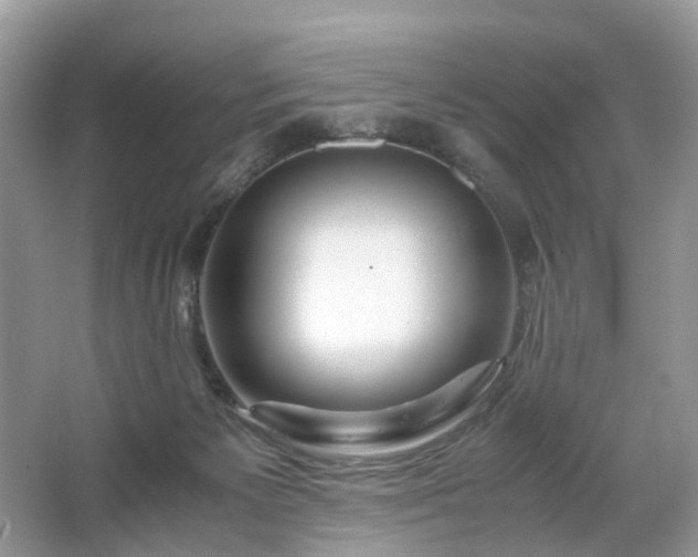 X0000063460125200601231428