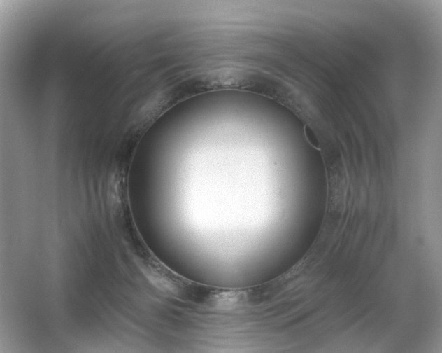 X0000063460126200601231428