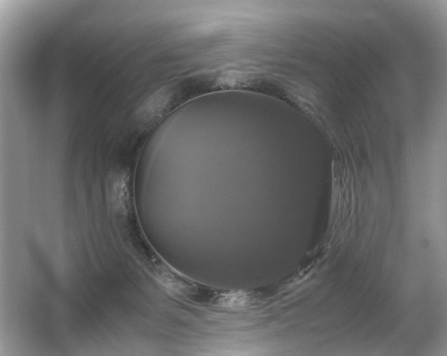 X0000063460127200601231428