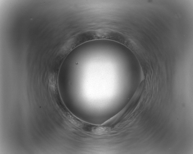 X0000063460129200601231428