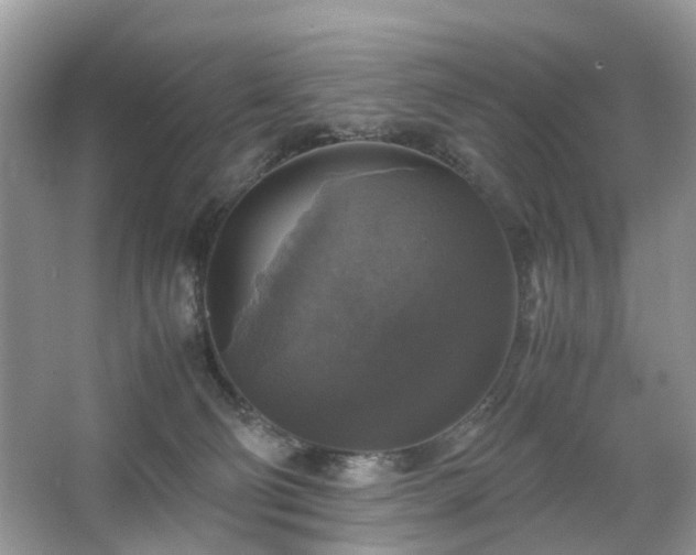 X0000063460130200601231428