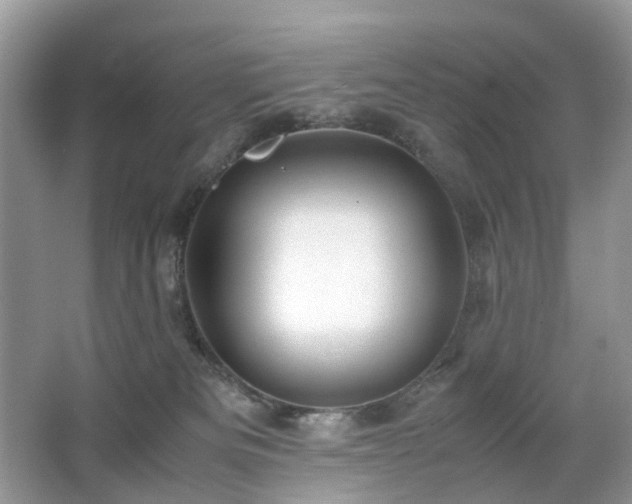 X0000063460133200601231428