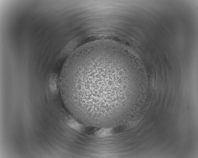 X0000063460138200601231428