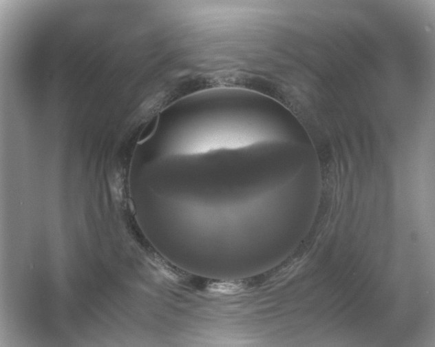 X0000063460139200601231428