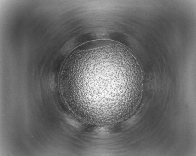 X0000063460140200601231428