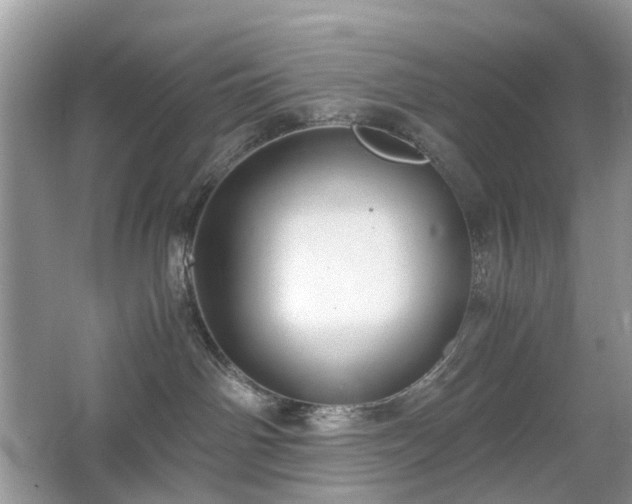 X0000063460142200601231428