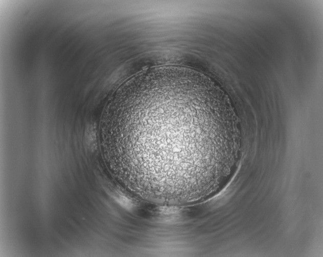 X0000063460144200601231428