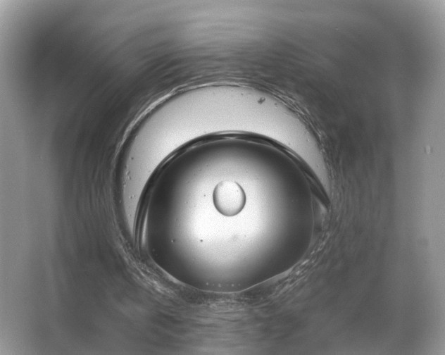 X0000063460146200601231427