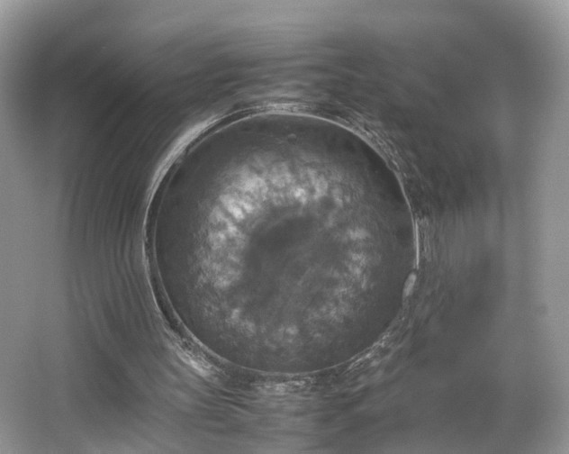 X0000063460147200601231427