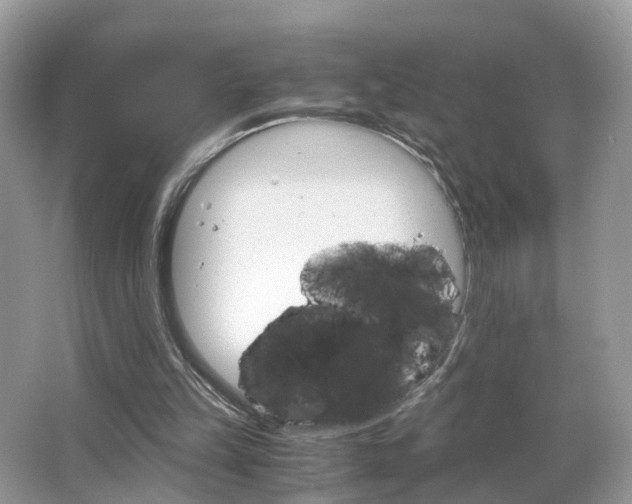 X0000063460149200601231427