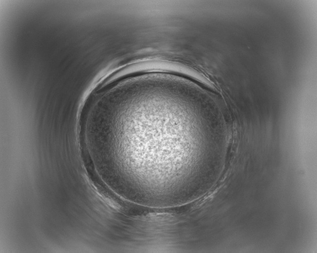 X0000063460150200601231427