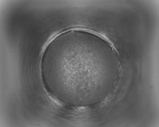 X0000063460151200601231427