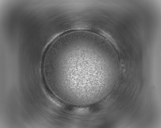 X0000063460155200601231427