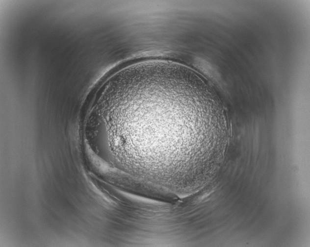 X0000063460156200601231427