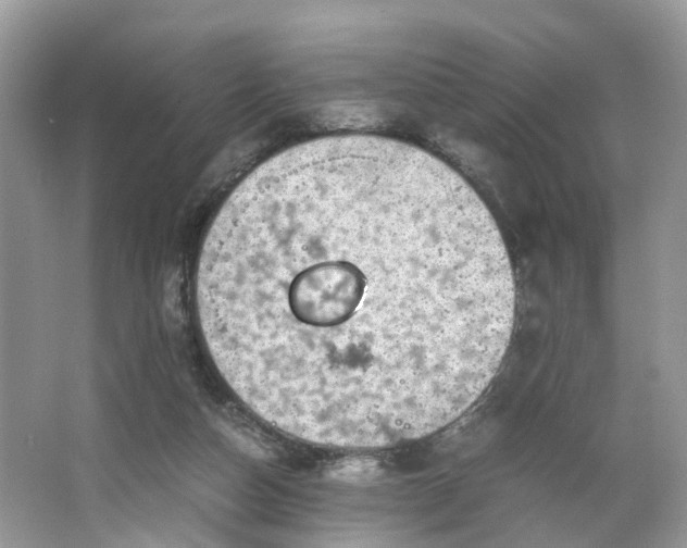 X0000063460162200601231427