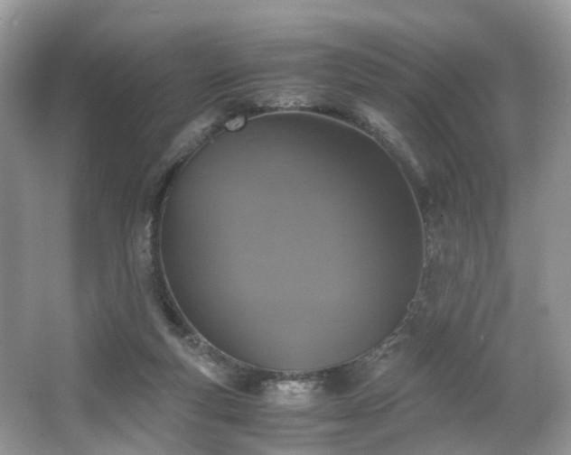 X0000063460163200601231427