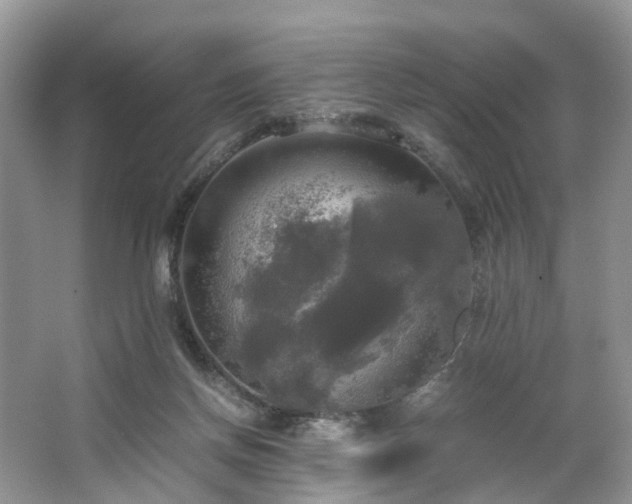 X0000063460166200601231427