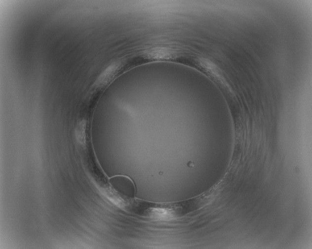 X0000063460167200601231427