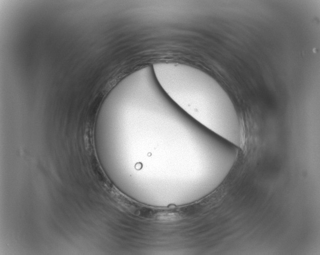 X0000063460169200601231427