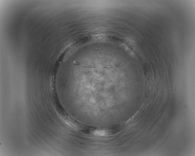 X0000063460171200601231427