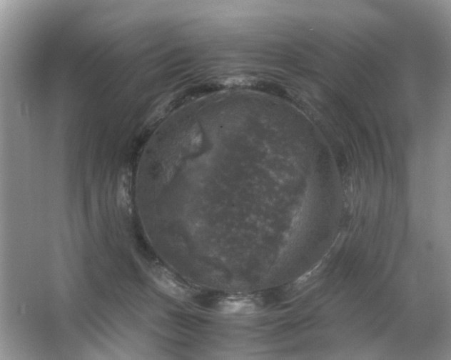 X0000063460175200601231428