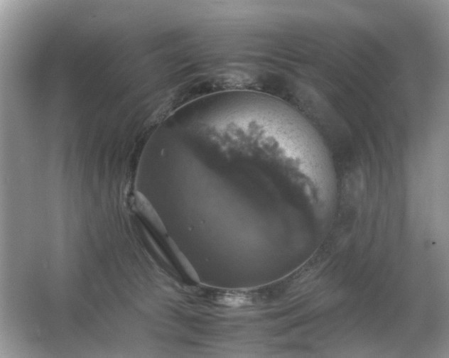 X0000063460177200601231428