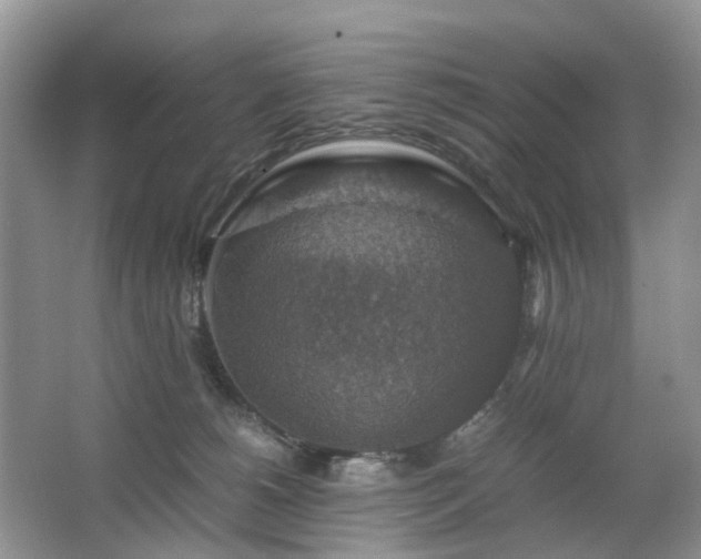 X0000063460180200601231428