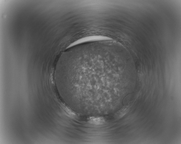 X0000063460185200601231428