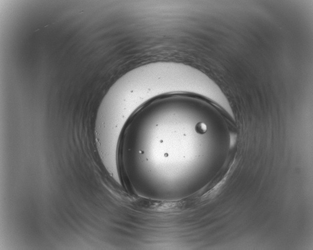 X0000063460186200601231428