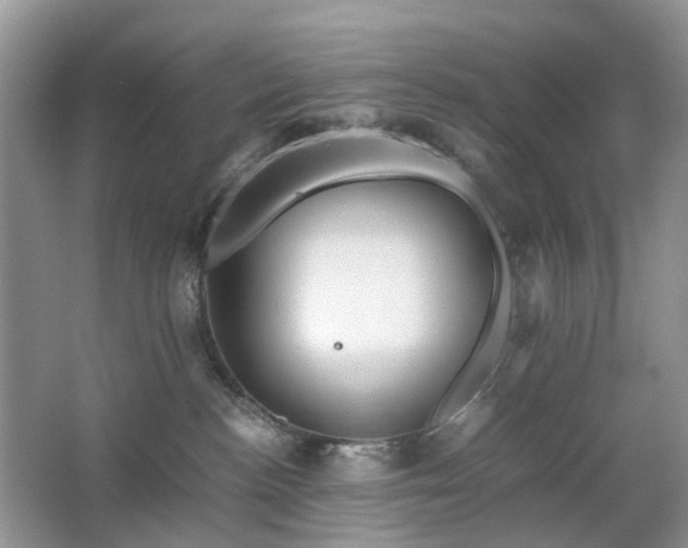 X0000063460188200601231428