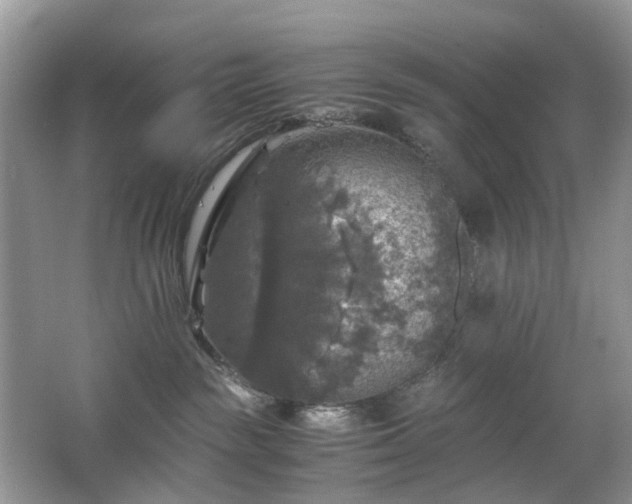 X0000063460189200601231428