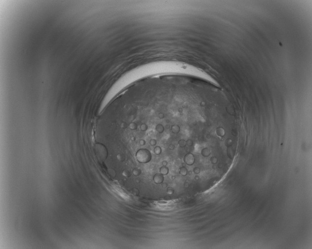 X0000063460191200601231428