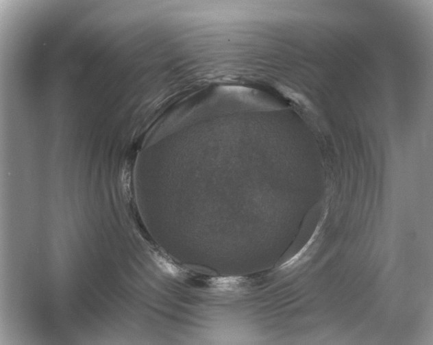 X0000063460192200601231428