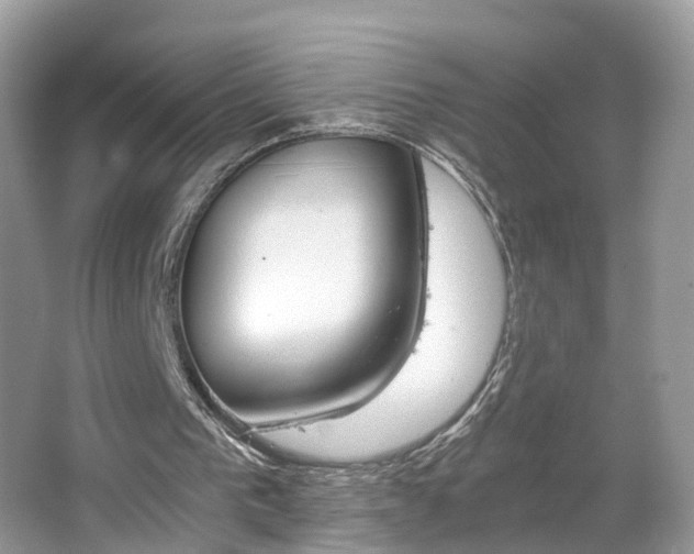 X0000063460193200601231427