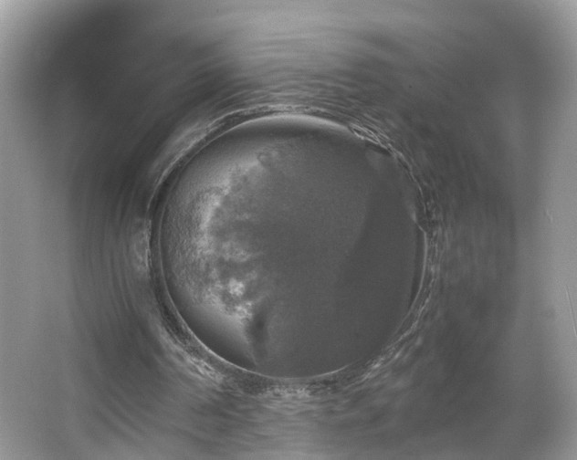 X0000063460194200601231427