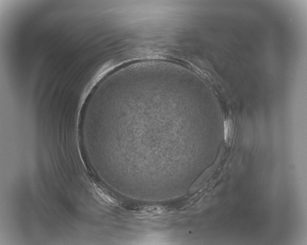 X0000063460195200601231427