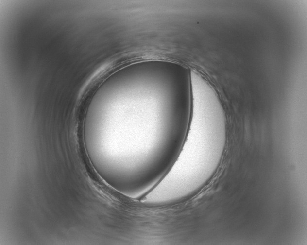 X0000063460197200601231427