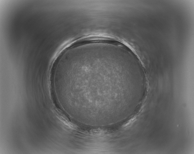 X0000063460199200601231427